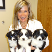 Eye Care for Animals Employee Nicole MacLaren's profile photo