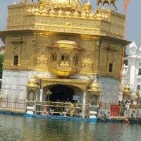 Mandev Tubes Employee Himani Thakre's profile photo