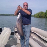 Gary Laurie