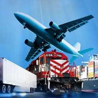 Import Export Associates, Inc Employee Kelvin Doe's profile photo