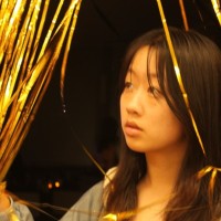 Fiona Lu Email