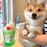 Google Employee Deng Yu's profile photo