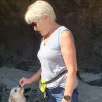 Indepentent AVON Sales Representative Employee Janis Bennett's profile photo
