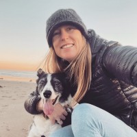 Adobe Animal Hospital-Los Altos and Los Gatos Employee Kim Delkener's profile photo
