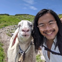 n8n Employee Mattias Pettersson's profile photo