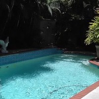 Leidos Employee Debby Neubauer-Gardner's profile photo