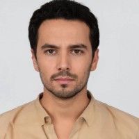 Themeisle Employee Davis P's profile photo