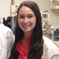 State University of New York College of Optometry Employee Lauren Strawn's profile photo