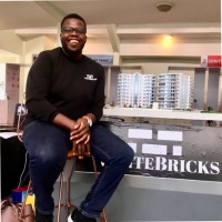 WhiteBricks Employee Tolu Omirin's profile photo
