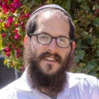 Numetri Employee Dov Lipinski's profile photo