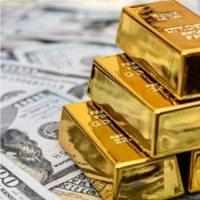 Augusta Precious Metals Employee Brad Gutov's profile photo