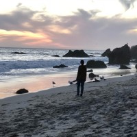 Ameri Communications Employee Alice Villa's profile photo