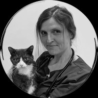 Forest Veterinary Centre Employee Urszula Rzeszutek's profile photo