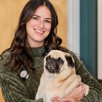 Boston Veterinary Clinic Employee Joey Kaston's profile photo