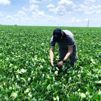 Gestecner Employee Roberto Cubas's profile photo