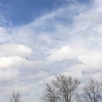 4Kings Employee Hubert King's profile photo