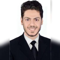 Ahmed Mohsen Email