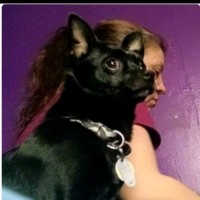 Stacy Horton Email & Phone Number
