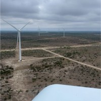 Windy Bishop Email