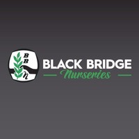 Black Bridge Nurseries Employee Phillip Steele's profile photo