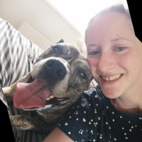 Danielle McCombe Email