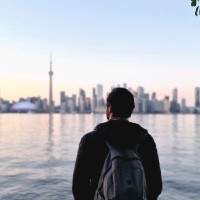 6ix Management Employee Mohammadreza Lahooti's profile photo