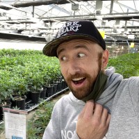Purple City Genetics (PCG) Employee Andrew Dobbs's profile photo