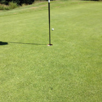 Knott Laboratory Employee Sam Dougherty's profile photo