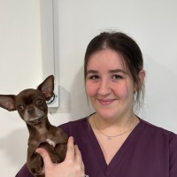 Gabby Hajda Email
