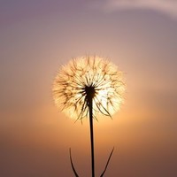 artiste peintre Employee Cathy Vultaggio's profile photo