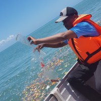 Cape Peninsula University of Technology Employee Bahati Mayoma's profile photo