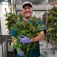 Green Gold Group Employee Daren Bradway's profile photo