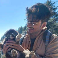 Bhupesh Sardana's profile photo