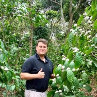 Green Seed Financial Employee Robert Pearl's profile photo