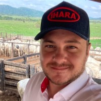 Matheus Bernardes Email