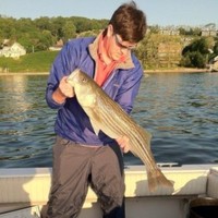 Christopher Martel Email & Phone Number