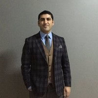 Onur Akkemik Email