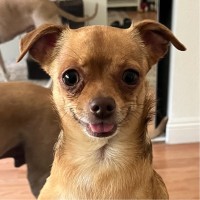 Omnia Architectural Employee Gene Longsworth's profile photo
