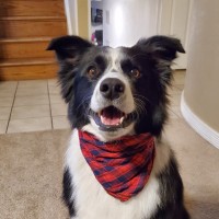 UMZU Employee Joel Rowlenson's profile photo