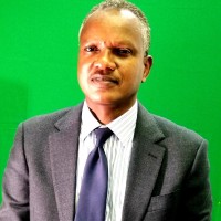 MConsult Employee Mohamed M.'s profile photo