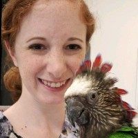North American Veterinary Community (NAVC) Employee Danielle Groover's profile photo