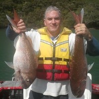 Air New Zealand Employee Peter Mount's profile photo