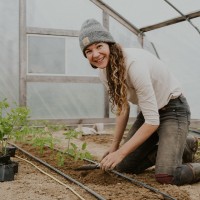 Solar Holler Employee Dina Hornbaker's profile photo
