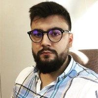 Vlad Berianu Email & Phone Number