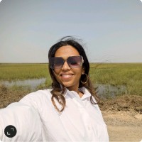INI Design Studio Employee Namrata Shah's profile photo