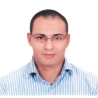 Mohammed Fawzy Email