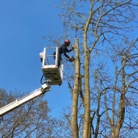 Arbor Call Ltd Employee Jess James's profile photo