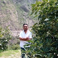 PLYMAG - Agronutrientes Employee Luis Condor's profile photo
