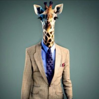 FGS, LLC Employee Joseph Lizyness's profile photo