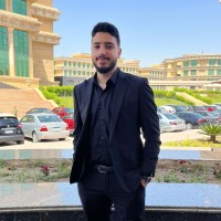 Mostafa Ameen Email